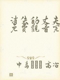 消失的丈夫电影免费观看完整版