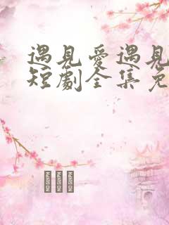 遇见爱遇见幸福短剧全集免费观看