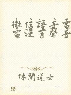 微信语音电话来电没有声音