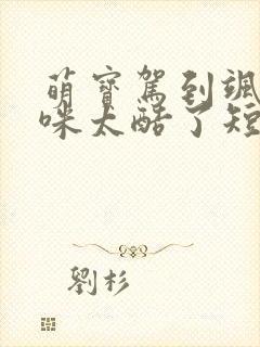 萌宝驾到飒爽妈咪太酷了短剧