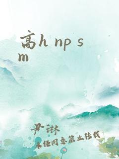 高h np sm