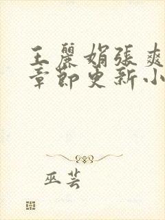 王丽娟张爽最新章节更新小说