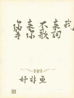 你来不来我都在等你歌词