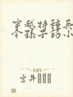 穿越特种兵成司令孙子的小说