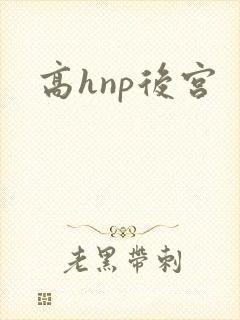 高hnp后宫