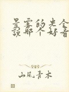 晨雾的光全部小说哪个好看