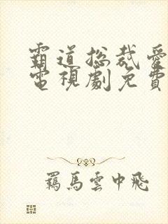 霸道总裁爱上我电视剧免费观看全集