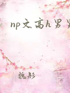 np文高h男男