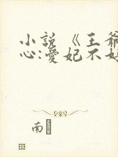 小说 《王爷当心:爱妃不好惹》