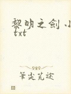 黎明之剑 小说 txt