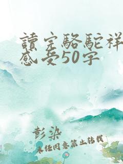 读完骆驼祥子的感受50字