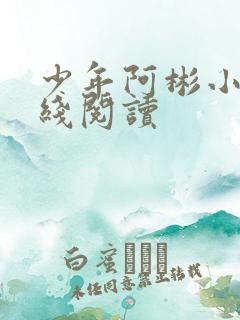 少年阿彬小说在线阅读