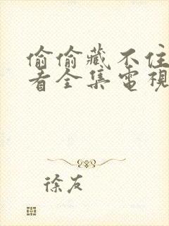 偷偷藏不住免费看全集电视剧