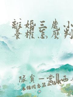 离婚三岁小孩抚养权怎么判定