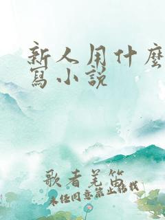 新人用什么软件写小说