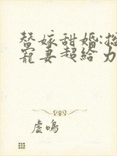 替嫁甜婚:总裁宠妻超给力