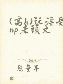 (高h)玩淫受np老头文