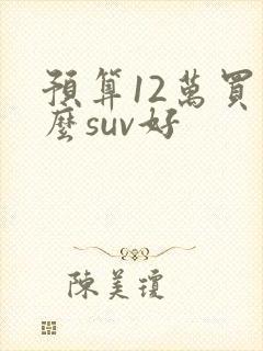 预算12万买什么suv好