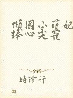 倾国小萌妃太子捧心尖宠