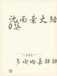 沈南意大结局80集