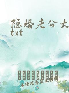 隐婚老公太神秘txt
