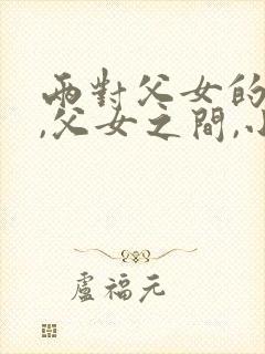 两对父女的喜剧,父女之间,小说