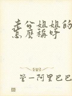 老公姐姐的儿子怎么称呼