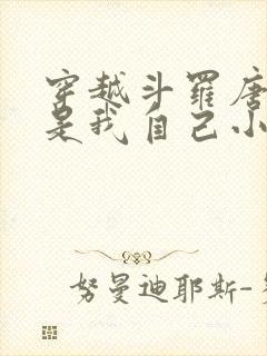 穿越斗罗唐三竟是我自己小说