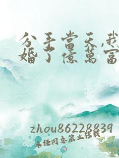 分手当天,我闪婚了亿万富豪小说全文