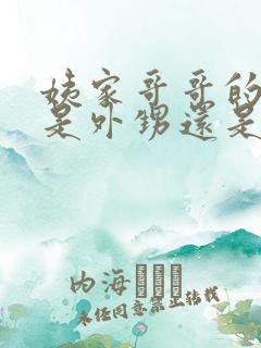 姨家哥哥的孩子是外甥还是侄子