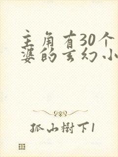 主角有30个老婆的玄幻小说