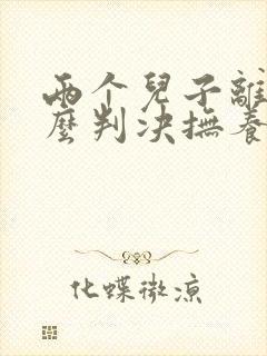 两个儿子离婚怎么判决抚养权