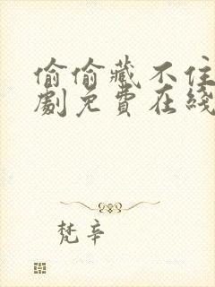 偷偷藏不住电视剧免费在线