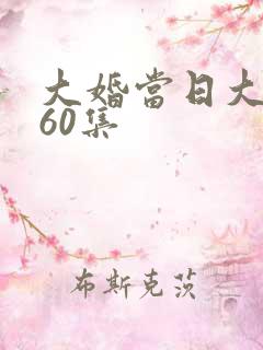 大婚当日大结局60集