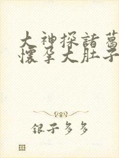 大神探诸葛九九怀孕大肚子视频