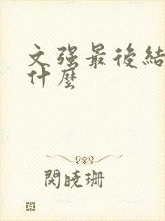 文强最后结局是什么