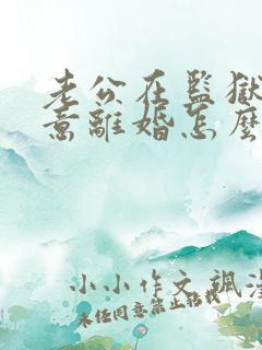 老公在监狱不同意离婚怎么办