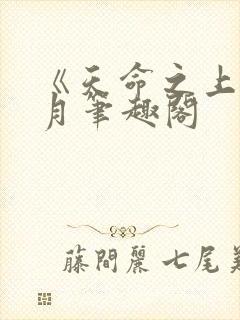 《天命之上》风月笔趣阁