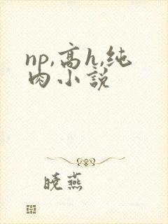 np,高h,纯肉小说