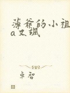 薄爷的小祖宗又a又飒