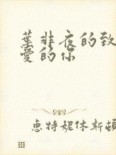 叶非夜的致我最爱的你