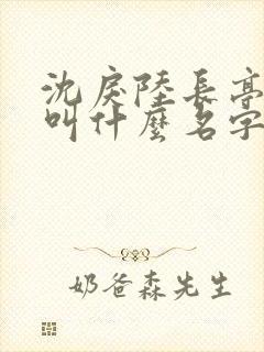 沈戾陆长亭小说叫什么名字