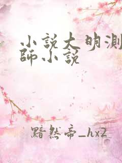 小说大明测字天师小说