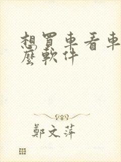 想买车看车用什么软件