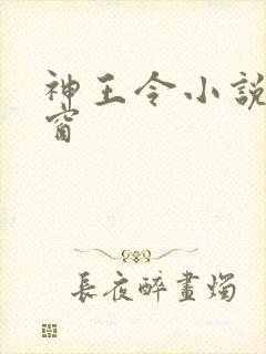 神王令小说无弹窗