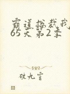 霸道总裁我的365天第2季