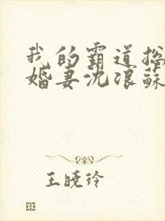 我的霸道总裁未婚妻沈浪苏若雪