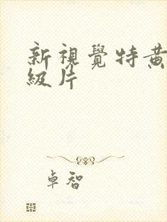 新视觉特黄色一级片