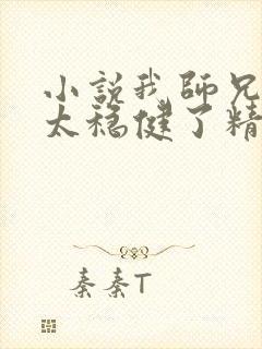 小说我师兄实在太稳健了精校版