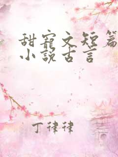 甜宠文短篇完结小说古言